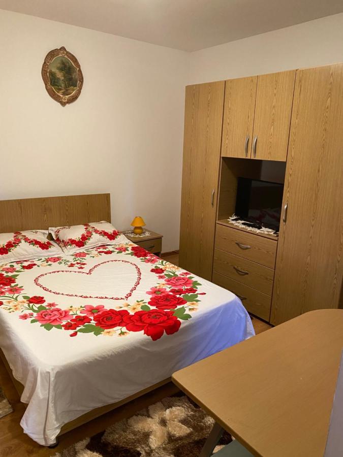 Garsoniera Delfinariu Hotel Konstanca Kültér fotó