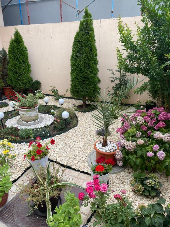 Garsoniera Delfinariu Hotel Konstanca Kültér fotó